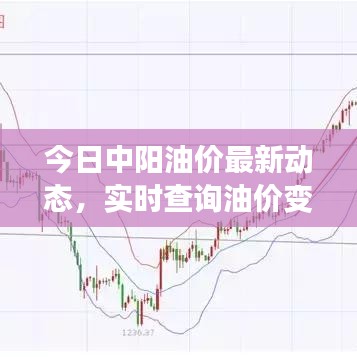 今日中阳油价最新动态，实时查询油价变化及影响因素分析