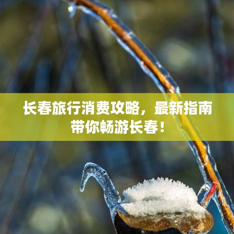 长春旅行消费攻略，最新指南带你畅游长春！