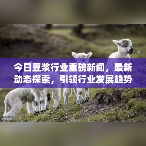 今日豆浆行业重磅新闻，最新动态探索，引领行业发展趋势