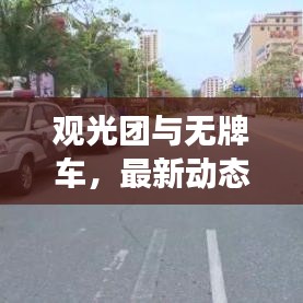 观光团与无牌车，最新动态解读及热议