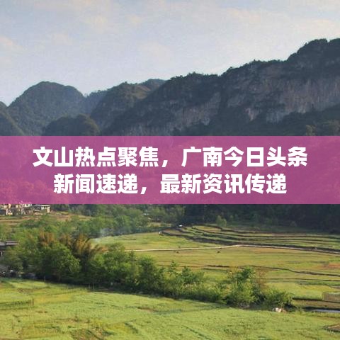 文山热点聚焦，广南今日头条新闻速递，最新资讯传递