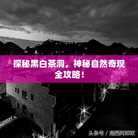 探秘黑白茶洞，神秘自然奇观全攻略！