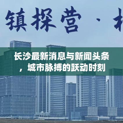 长沙最新消息与新闻头条，城市脉搏的跃动时刻