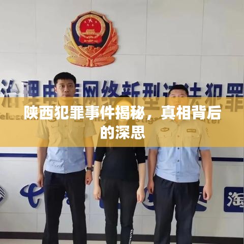 陕西犯罪事件揭秘，真相背后的深思