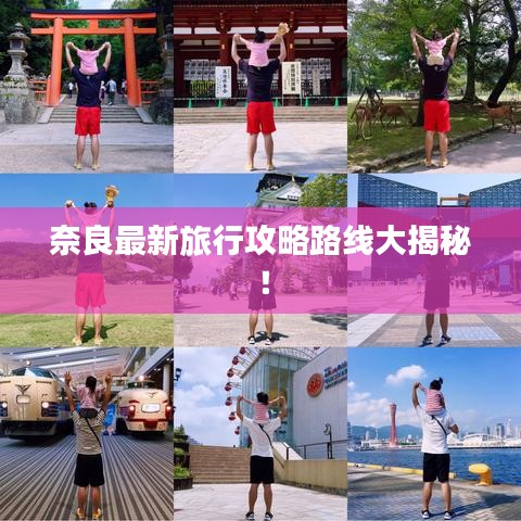 奈良最新旅行攻略路线大揭秘！