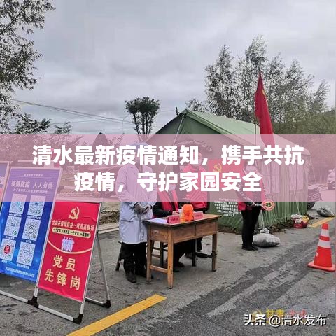 清水最新疫情通知，携手共抗疫情，守护家园安全