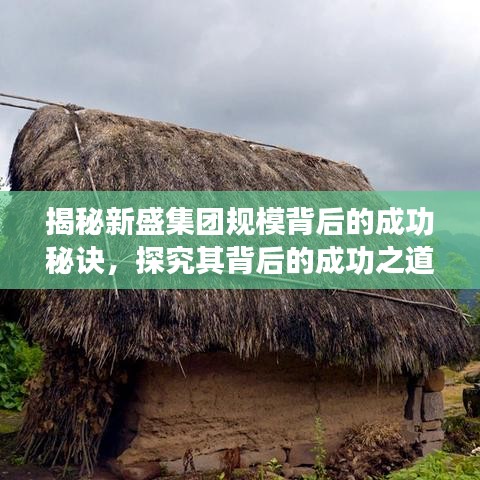 揭秘新盛集团规模背后的成功秘诀，探究其背后的成功之道