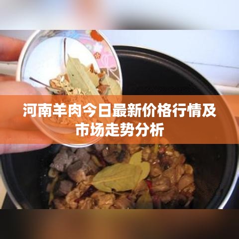 河南羊肉今日最新价格行情及市场走势分析