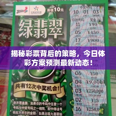 揭秘彩票背后的策略，今日体彩方案预测最新动态！