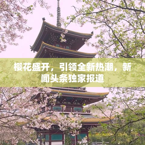樱花盛开，引领全新热潮，新闻头条独家报道