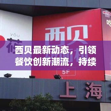 西贝最新动态，引领餐饮创新潮流，持续深耕谋发展之路
