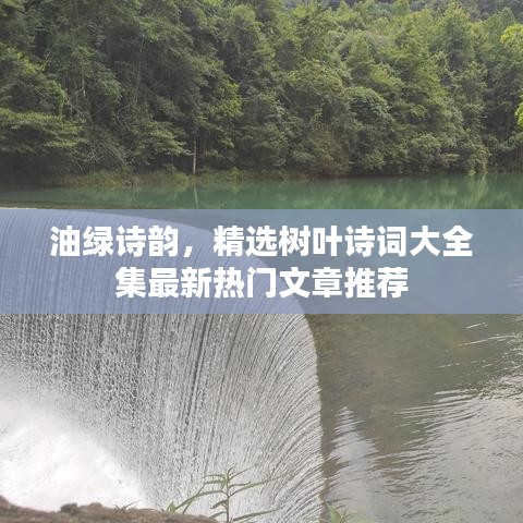 油绿诗韵，精选树叶诗词大全集最新热门文章推荐