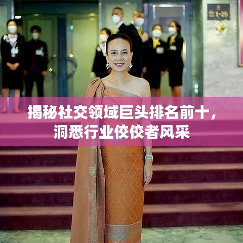 揭秘社交领域巨头排名前十，洞悉行业佼佼者风采