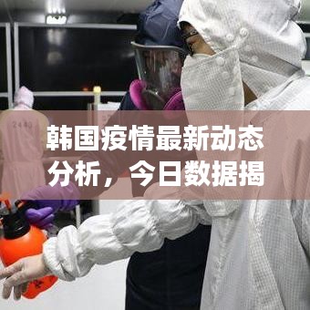 韩国疫情最新动态分析，今日数据揭示防控进展与挑战