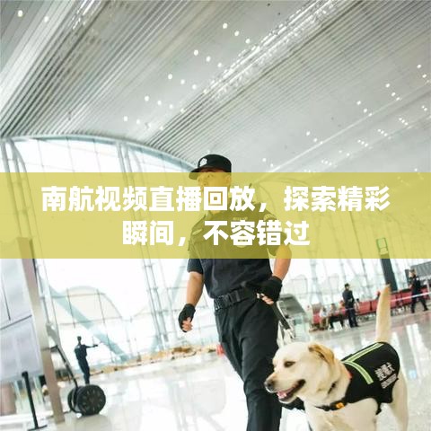 南航视频直播回放，探索精彩瞬间，不容错过
