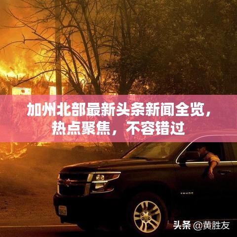 加州北部最新头条新闻全览，热点聚焦，不容错过