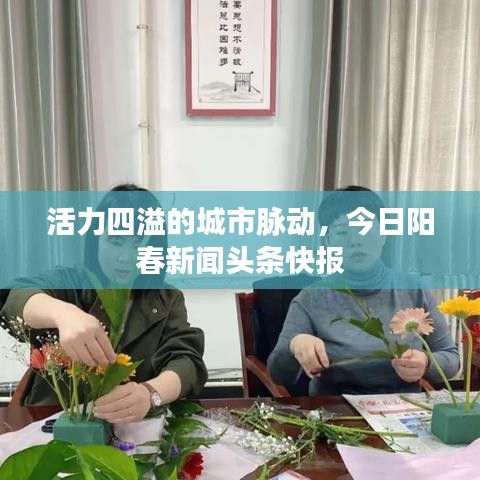 活力四溢的城市脉动，今日阳春新闻头条快报