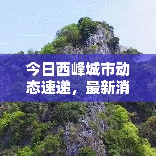今日西峰城市动态速递，最新消息与生活点滴分享
