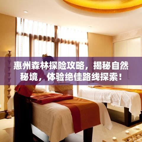 惠州森林探险攻略，揭秘自然秘境，体验绝佳路线探索！