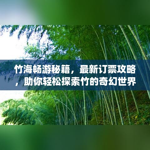 竹海畅游秘籍，最新订票攻略，助你轻松探索竹的奇幻世界