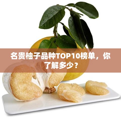 名贵柚子品种TOP10榜单，你了解多少？