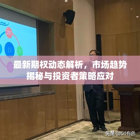 最新期权动态解析，市场趋势揭秘与投资者策略应对