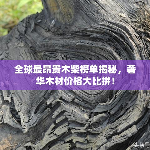 韦编三绝
