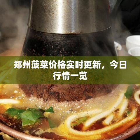 郑州菠菜价格实时更新，今日行情一览