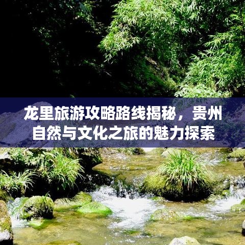 龙里旅游攻略路线揭秘，贵州自然与文化之旅的魅力探索