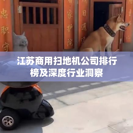 江苏商用扫地机公司排行榜及深度行业洞察