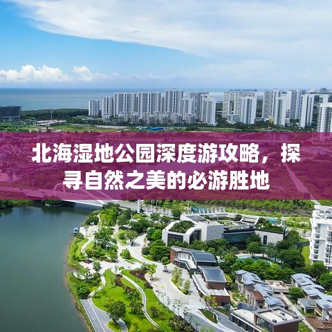 北海湿地公园深度游攻略，探寻自然之美的必游胜地