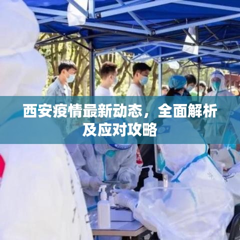 西安疫情最新动态，全面解析及应对攻略