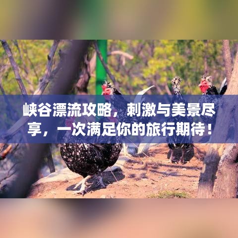 峡谷漂流攻略，刺激与美景尽享，一次满足你的旅行期待！