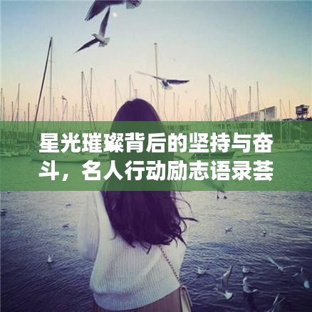 星光璀璨背后的坚持与奋斗，名人行动励志语录荟萃
