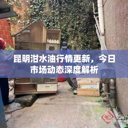 昆明泔水油行情更新，今日市场动态深度解析