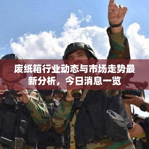 废纸箱行业动态与市场走势最新分析，今日消息一览