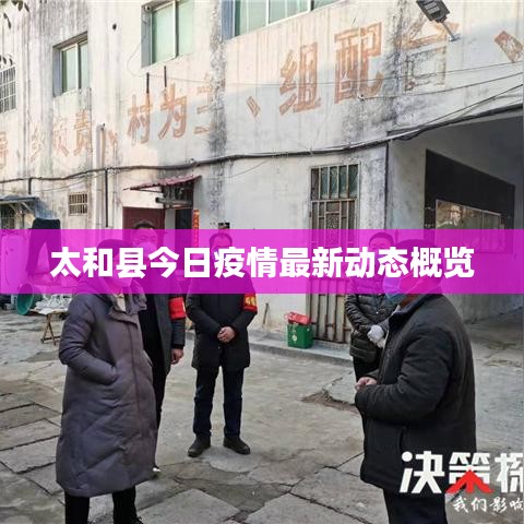 太和县今日疫情最新动态概览