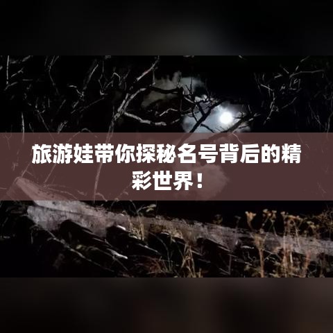 旅游娃带你探秘名号背后的精彩世界！