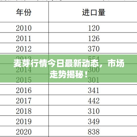 麦芽行情今日最新动态，市场走势揭秘！