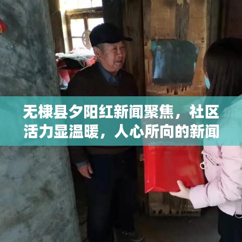 无棣县夕阳红新闻聚焦，社区活力显温暖，人心所向的新闻头条