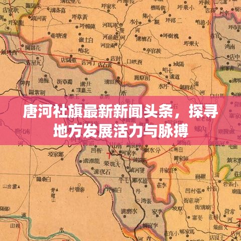 唐河社旗最新新闻头条，探寻地方发展活力与脉搏