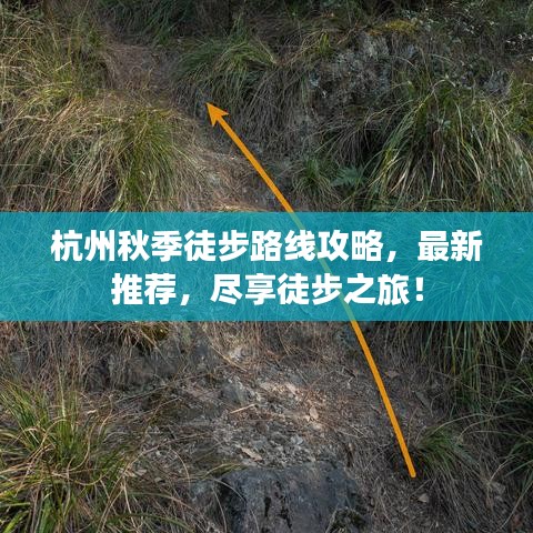 杭州秋季徒步路线攻略，最新推荐，尽享徒步之旅！