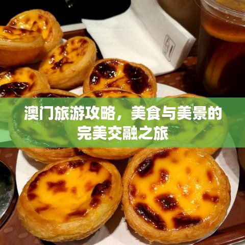澳门旅游攻略，美食与美景的完美交融之旅