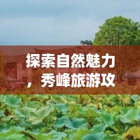 探索自然魅力，秀峰旅游攻略带你畅游绝美风光！