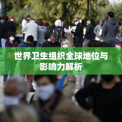 世界卫生组织全球地位与影响力解析