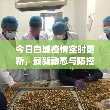 今日白城疫情实时更新，最新动态与防控进展