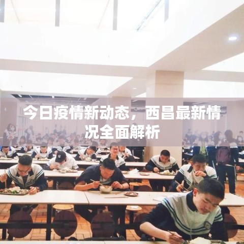 今日疫情新动态，西昌最新情况全面解析