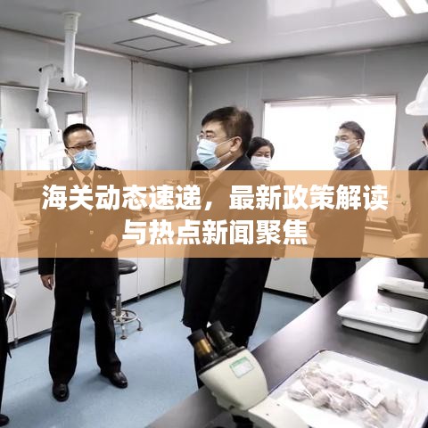 海关动态速递，最新政策解读与热点新闻聚焦