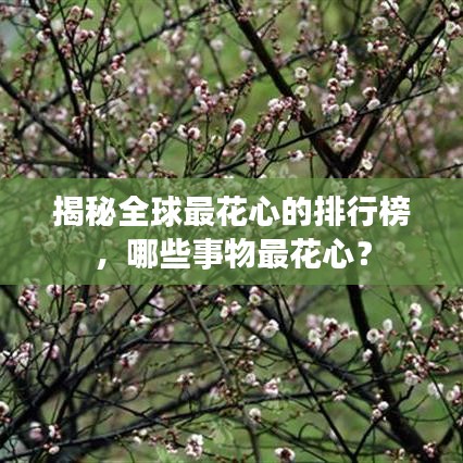 揭秘全球最花心的排行榜，哪些事物最花心？
