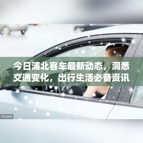 今日浦北客车最新动态，洞悉交通变化，出行生活必备资讯